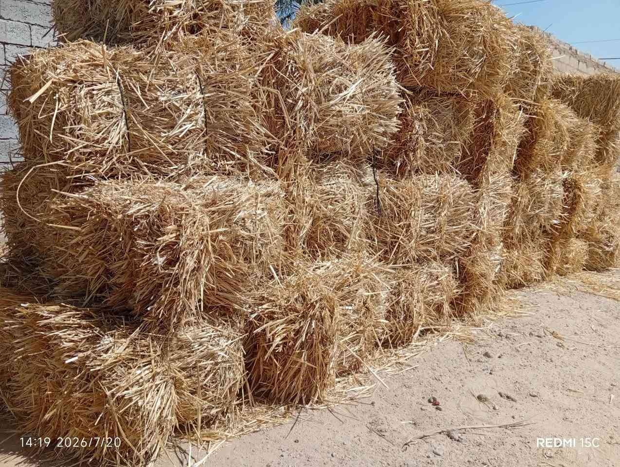 سلام عليكم عندي
كبسات تبن عدد 28 كبسة للبيع 
سعر الكبسة 1250 الف 
الشراي يتصل، 
***********
بي واتساب 
الشراي بي خير ويدلل
