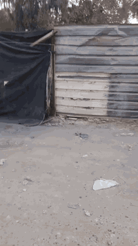 السلام عليكم قطعه أرض للبيع مساحته ٢٠٠م واجها ١٠م ونزال ٢٠م مكانها جوه جسر المثنى من جهة الجزيرة تبعد عن جزيرة ٥دقايق مشي موقعها كلش حلو ومرتب ٤قطعه عن الشط تتوفر كافة الخدمات وشروط السكن جنس العقار ملك صرف زراعي سند ٢٥ سعرها ١٨٥مليون وقابل للتفاوض للإستفسار الاتصال ***********سيد قاسم
