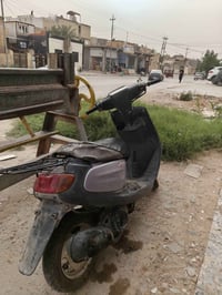 منغولي • ٦٠ • نصيفه