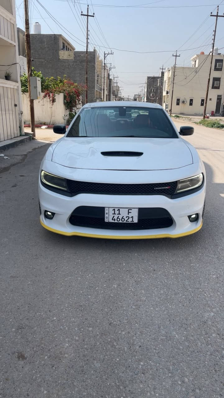 يالله جاجر Rt 2019 اصل رقم بغداد هزة جديدة ماشية 86 الف اخوان سيارة كلين طابة وهنا بالعراق انطغ بنيد 3 اصابع ونصبغ شوية منة مو كلة بدون ايرباك ولا شاصي ولا لغد صور امريكا بالمنشور وصور طخة هم بالصور قبل لا اسويهة سيارة جديدة بالجيس شرط زيرو من كلشي سيارة ستوك شركة لا ملعوب بصالنصات ولا ملعوب بحجرات السعر 217 ورقة مكانهة بغداد للأتصال اخوان لحد ايطبلي خاص مكلف بالنشر وهاذة رقم ولد ***********
