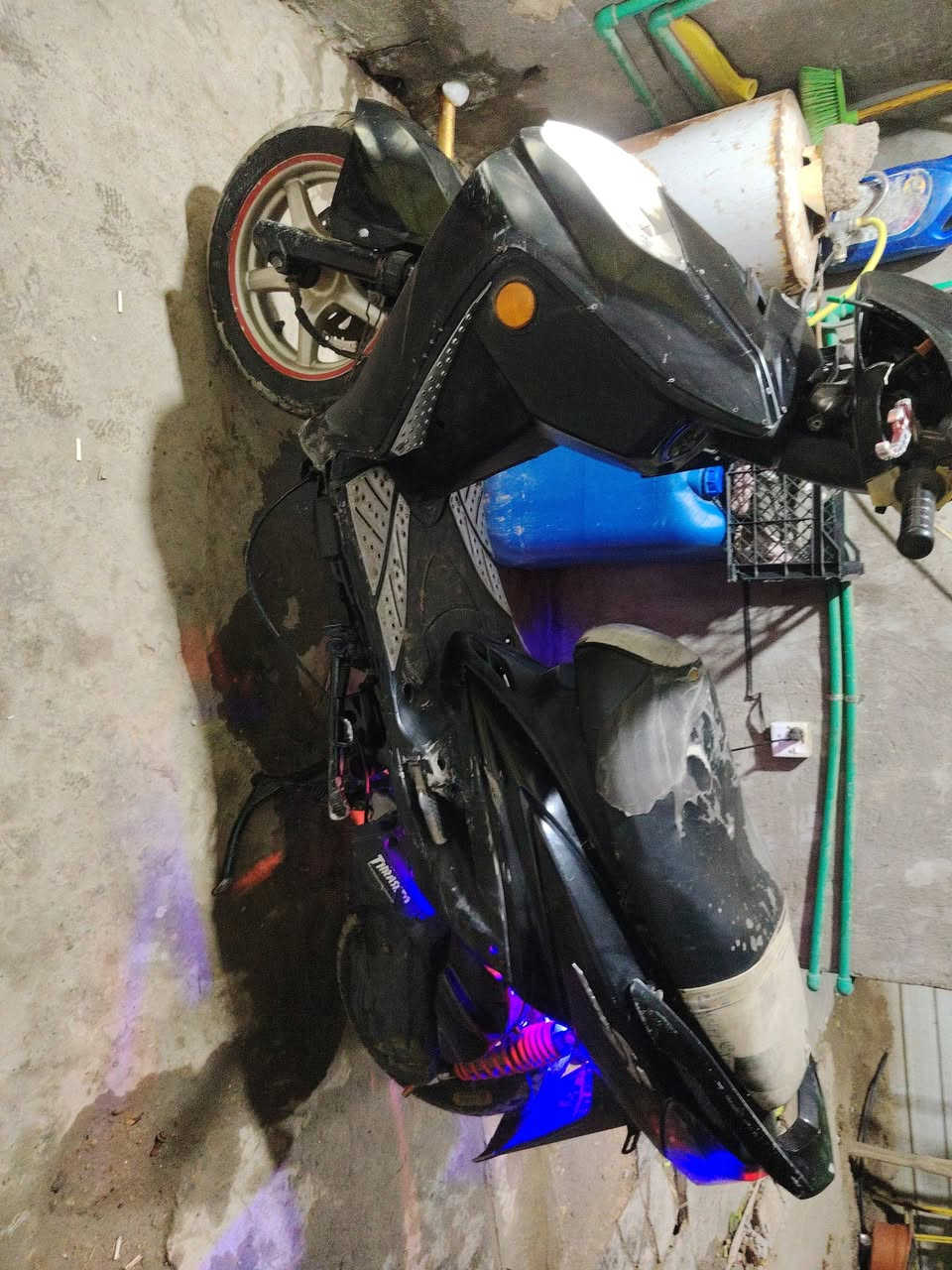 السلام عليكم سكنس فحل ام الطلاعات مزوده نص تزويد شلعه اومعدل مكينه هاون بوشه 58ونص مال لعب دراجه تخبل والله بس محتاج واريدابيعه ***********
