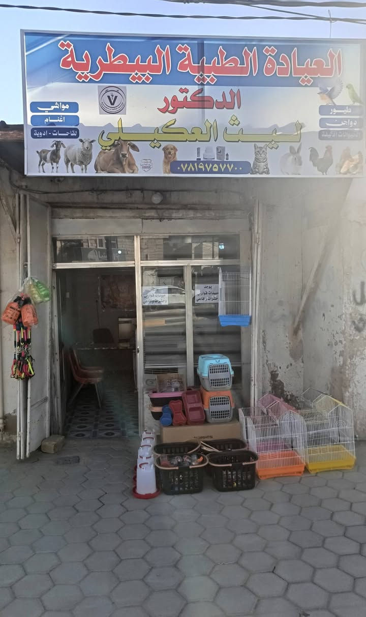حي الفرات قرب جامع الأمام المهدي


**إذا كنت صاحب هذا الإعلان وتريد حذفه لأي سبب، رجاءا أرسل رسالة إلى الدعم الفني**