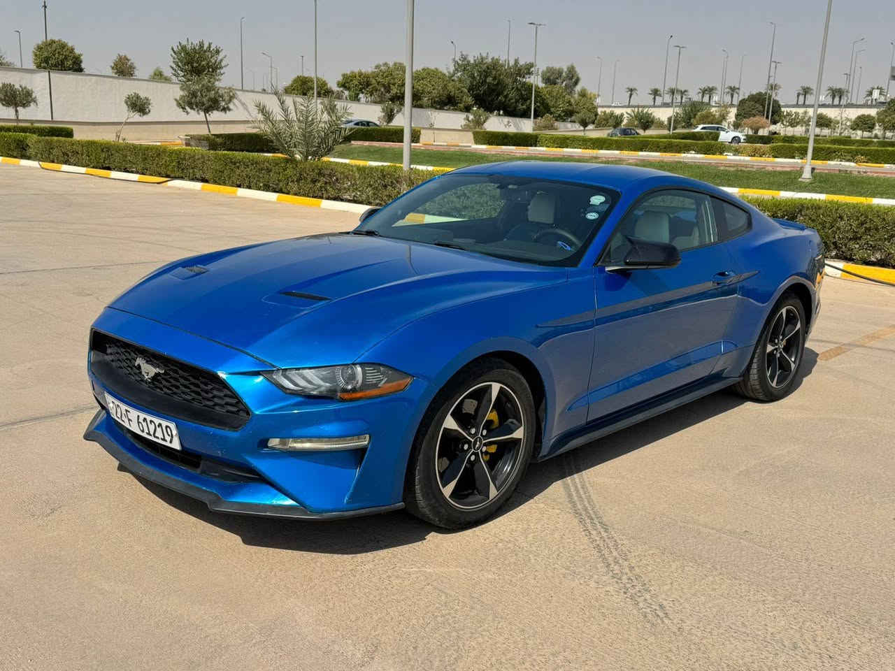 السلام عليكم
موستانك ايكوو بوست 2019
لوون ازرق مميز ( جويتي )
داخل جلد ازرق وابيض
كير سكان 
حساس خلفي 
كشنات كهربائي 
شاشة جبيرة بلادي 
ماشيه : 95mi
تشغيل عن بعد 
الضرر: بيها جاملغ سايق + جاملغ خلفي بدون دواخل بدون ايرباك
كير او مكينه او اكسل كلة بشرط 
السيارة هزة وسنوية جديدة 
رقم جديد 
وبأسمي 
مكانها اربيل
رقم موبايل : ***********
*********** أربيل, العراق
