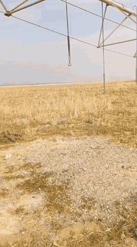 مرشه محوري  80خريف صدامي للبيع الرقم 07852230603