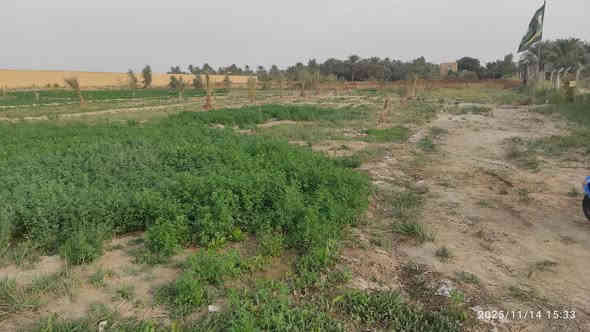 دونمين زراعي البيع سند  25 طريق مرمض بضهر الملعب ***********
