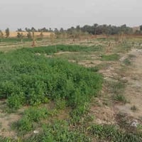 زراعي • ٥٠٠٠م • مرمض بضهر الملعب