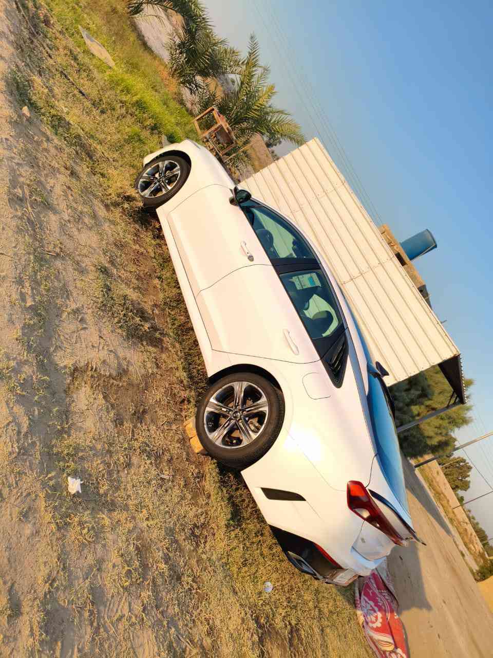 اريد مراوس بجارجر
🔺كيـا كي فايف
KIA K5 2021

🔸اللوحات : المثنى.
🔸الضرر:فقط تبديل البنيد .
🔸الموديل: 2021
🔸الفئة : EX 
🔸حجم المحرك: 1.6L / 4 Cylinder 
🔸اللون : أبـيض .
🔸المفتاح: بصمة 
🔸عداد المسافة:72 الف ميل .
‏🔸Airbags : ستيرن و دشبول

🟢 مواصفات اخرى
المقاعد جلد رصاصي 
 مقعد السائق كهربـاء 
المقاعد الأمامية تبريد وتدفئة 
 شاشة كبيرة 
 ويل كب حجم 18 inch 
 حساس النقطة العمياء 
 كشافات 
 رادار أمامي 
 سقف بانوراما 
 صاج ضمن تغليف الدواخل 
مقاعد تدفئه
 رادارات جانبيه 
رادارات خلفيه
 نظام تحديد مسار
 قيادة اليه
 نظام ذكي
 مانع انزلاق حساس اطارات
شاشه اعطال
نضام قياده أيكو + سبورت +سمارت +نورمال
ئوتو بريك امامي وخلفي
 زينون
صندوك بصمه
‏AUTO HOLD
 شاحن لاسلكي 

للاستفسار***********
