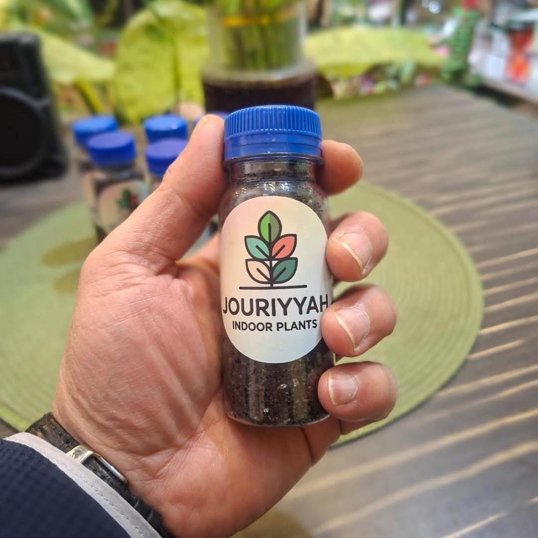 🌱 🌸 الربيع وصل… وحديقتك تستاهل الاهتمام! 🌸 🌱 

✂️ تقليم الفروع اليابسة
🌱 تسميد خفيف
💧 ري معتدل صباحاً
🍃 تنظيف التربة
🐛 فحص الحشرات

جدّد حديقتك اليوم وخليها تزهر ✨
كل مستلزمات الربيع متوفرة في جورية للنباتات Jouriyyah_plants💚

📍 زورونا أو تواصلوا معنا لاختيار نباتاتكم المفضلة
الكندي الاولى السايدين المؤدي للكندي الثانية ومصنع الكندي 
مجاور مكتب الكندي للعقار
#ديكور #موصل #نباتات _ #استشارات #زراعية #Jouriyyah_plants #هدايا #سمك #فايتر
#غابتي_الصغيرة #plantlover


**إذا كنت صاحب هذا الإعلان وتريد حذفه لأي سبب، رجاءا أرسل رسالة إلى الدعم الفني**