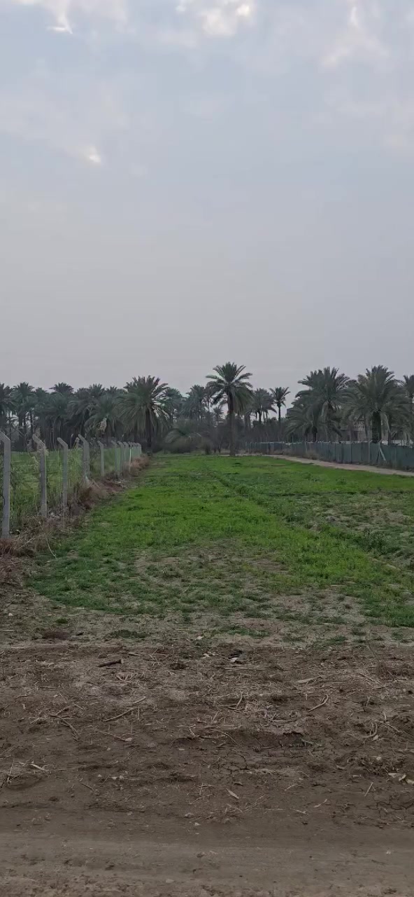 1 دونم  للبيع 

 طابو زراعي سند 25

العنوان / حله قرب شارع ١٠٠

مكتب أحمد الشمري للعقار 

***********
