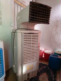 كونفيرة • حجم كبير • حي الصحه