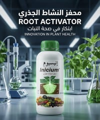 إنيسيوم ⭕️ مستحضر طور خصيصاً كمحغز للنشاط الجذري  ينصح باستخدام ال إنس...