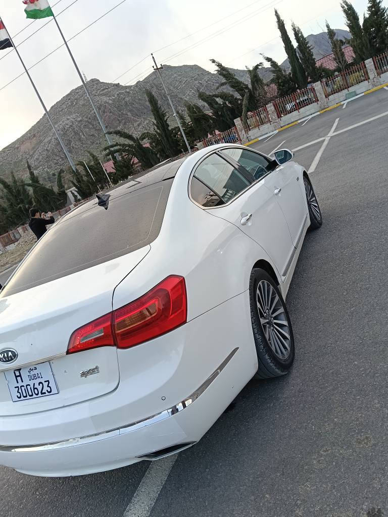 ئه دمين💖
كيا كانديزا 2013 ساغه. 
زه ربه وليدراوى نيه 
نرخى75گلا
فول فول مواسه فاته 
پانؤراما كوشن جلد كوشن كاره باى 
ته نجيل ئايپات كاميره لايت زينؤن 
يه ك دينار مه سره فى نيه 
 مالى دؤسته 
شوئن رانيه.*********** رانية, السليمانية
