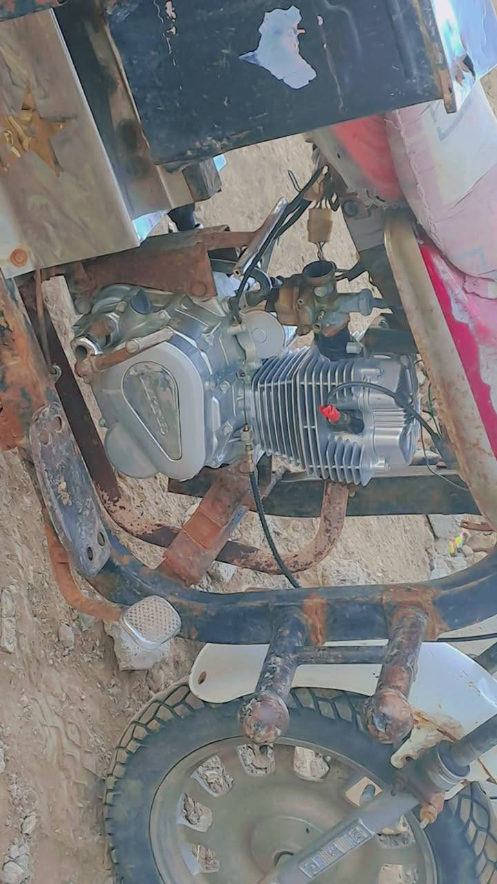 السلام عليكم ستوته الاكل للبيع كلك***********
