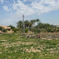 دونم ونص • طابو زراعي • الفلوجه الكيفيه