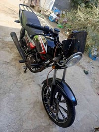 شاينك • موديل ٢٠٢٣ • كفالة