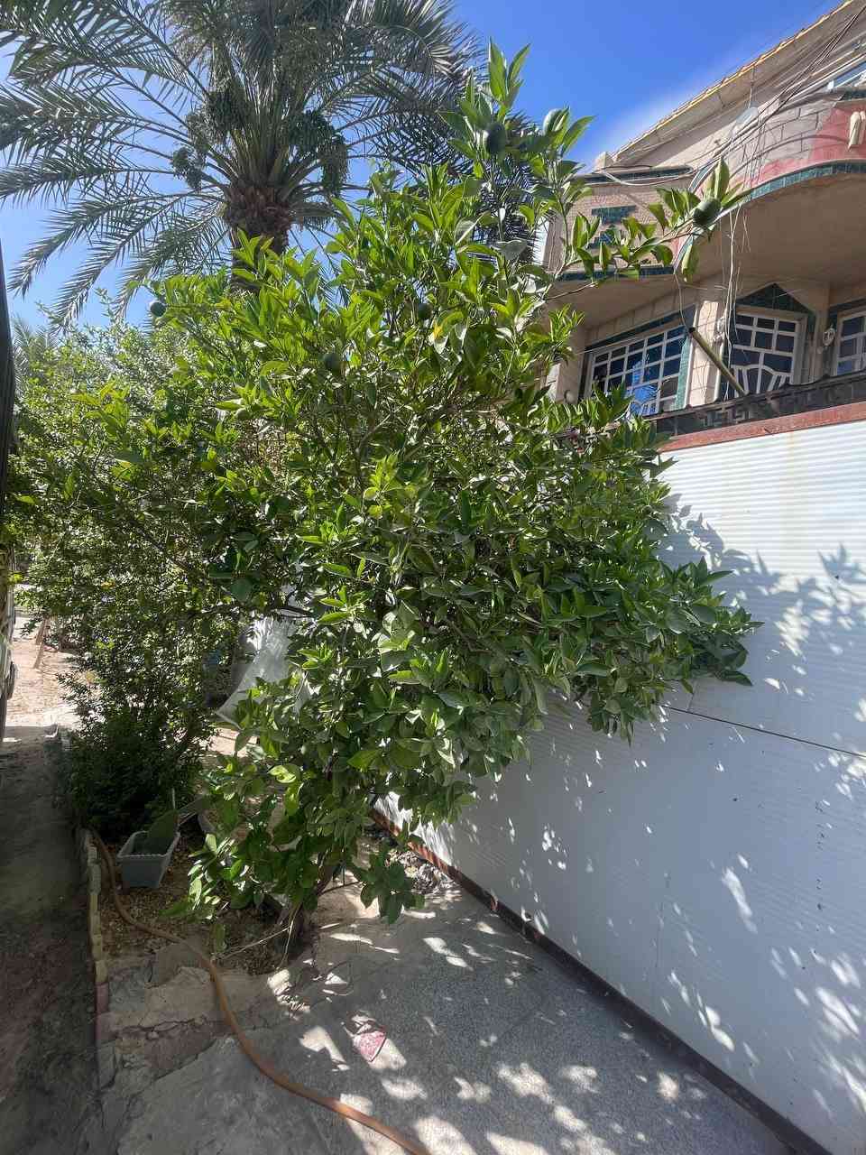دار لبيع  مساحته ٩٠ متر   واجهه ٦ في ١٥  نزاله
يحتوي ع ثلاث طوابق , استقبال,  ثلاثه غرف نوم ,  مطبخ وطابق الثالث سويت كامل مع خدماته 
العنوان حي اور قرب جامع فردوس  
الاستفسار /
***********
***********
