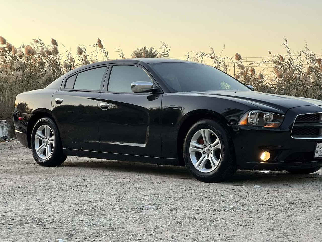 جارجر 2014للبيع رقم ذي قار مشروع وطني تحويل ثاني سنويه بعده مامنتهيه جاهزه للاخير مال جناي وارد امريكي جاملغ وبنيد تبديل جهه العبري بدون دواخل وبيه رش حزام اثر شخوط فرن درجة اولى مكينه 3600سته سلندر مابيه اي نقص مكينه كير تبريد تخم تاير حداده لايت زنون بلعافيه علياخذه السعر 145 مكاني ناصرية سوق الشيوخ ***********
