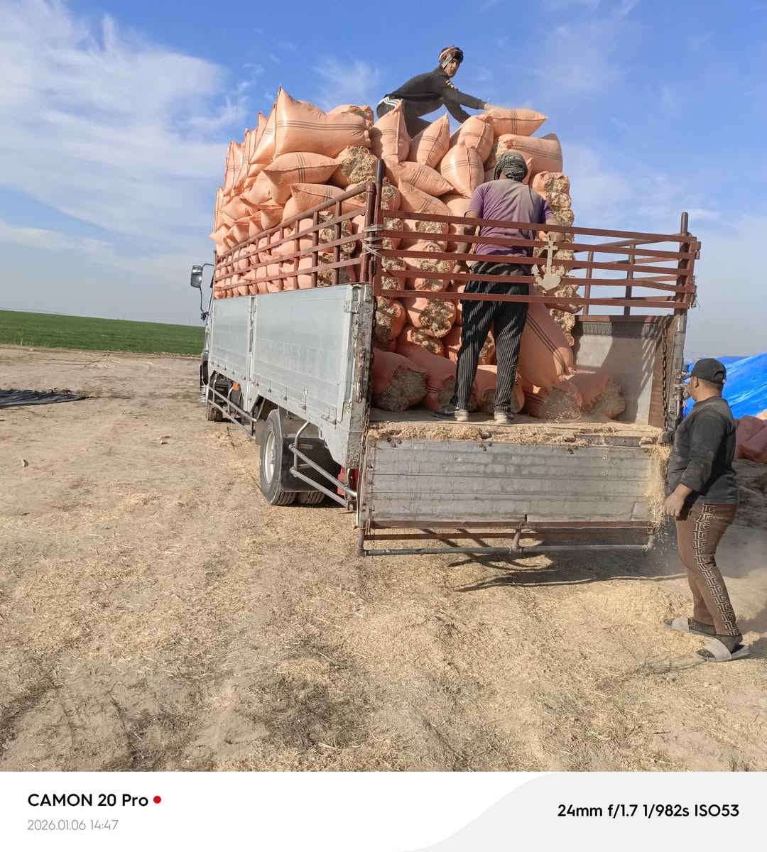 يوجد تبن للبيع درجة الولى الزوج 3500 /***********/***********
