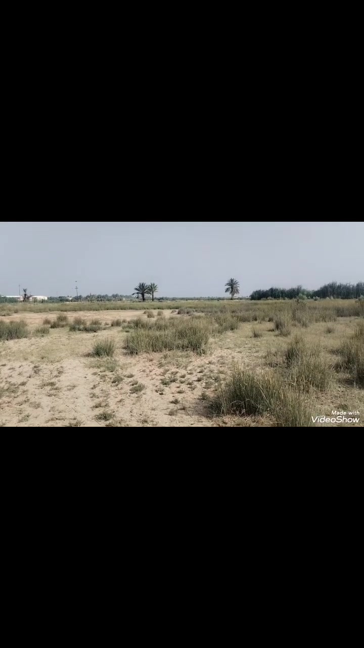 السلام عليكم ٣ دونم للبيع طابو زراعي سند 25 كربلاء طوريج الخيرات منطقة زبيد الكهرباء ٢٠٠ متر عنها والماء السقي بوجها واجهة ٧٥ متر سعر الدونم الواحد ١٦ مع المجال للاستفسار الاتصال على الرقم *********** او ***********
