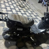 ماكس • عدله • بوشه ٥٥