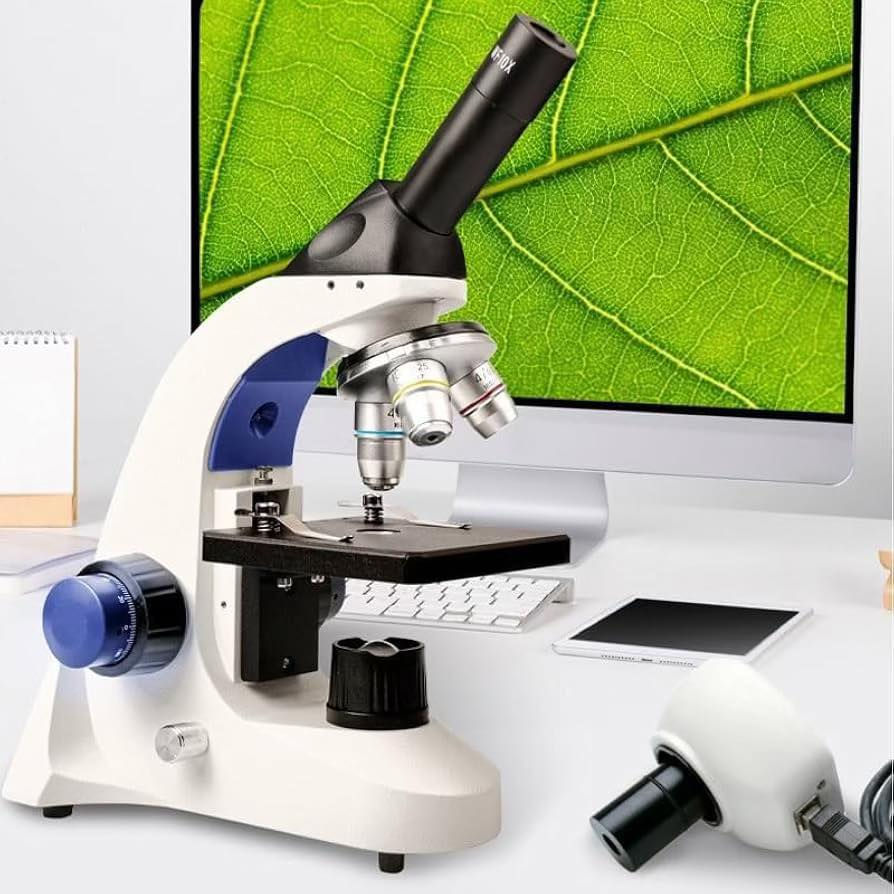 مجهر فول الفول ويا طن ملحقات جديد اول تم 80 وبلعافية قفل


**إذا كنت صاحب هذا الإعلان وتريد حذفه لأي سبب، رجاءا أرسل رسالة إلى الدعم الفني**