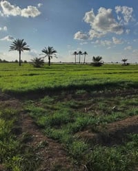 بلقرءان بلاش ومستقبلك مضمون من اول شوفتك للكاع ارض 5 دوانم طابو زراعي ...