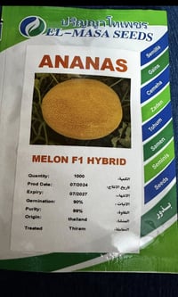 بطيخ أناناس تايلندي • هجين عالي الإنتاج • إنبات ٩٠٪