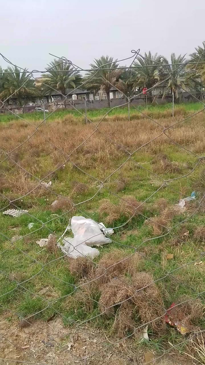 قطعه للبيع طابو زراعي سند 25 بأسم المالك مساحه 400م  20*20 الصياحيه قريبه جدا عن شارع الصياحيه الرئيسي السعر 45 مليون مجال جدا قليل للاستفسار الاتصال على الرقم *********** او مراجعه مكتبنا الكائن في الجزائر
