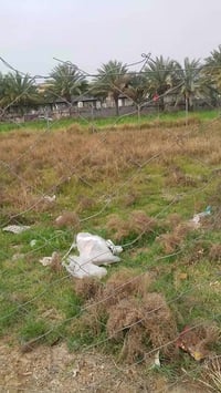 الحلة الصياحية • طابو زراعي • ٤٠٠م