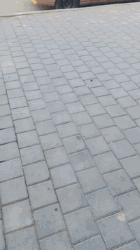 اوبترا • ٢٠٠٤ • ١٧٣ الف