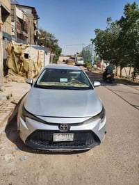 كورلا ٢١ امريكي معوقين السنه الجايه تصير حره ماشيه ١٢٩ الف كيلو كير وم...