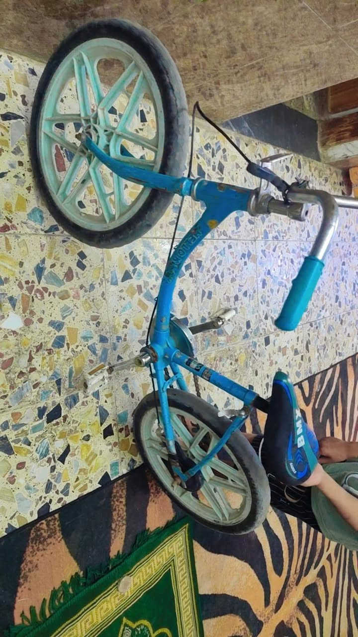 باسكل اطفال حجم ١٦وحجم ٢٠جبير


**إذا كنت صاحب هذا الإعلان وتريد حذفه لأي سبب، رجاءا أرسل رسالة إلى الدعم الفني**