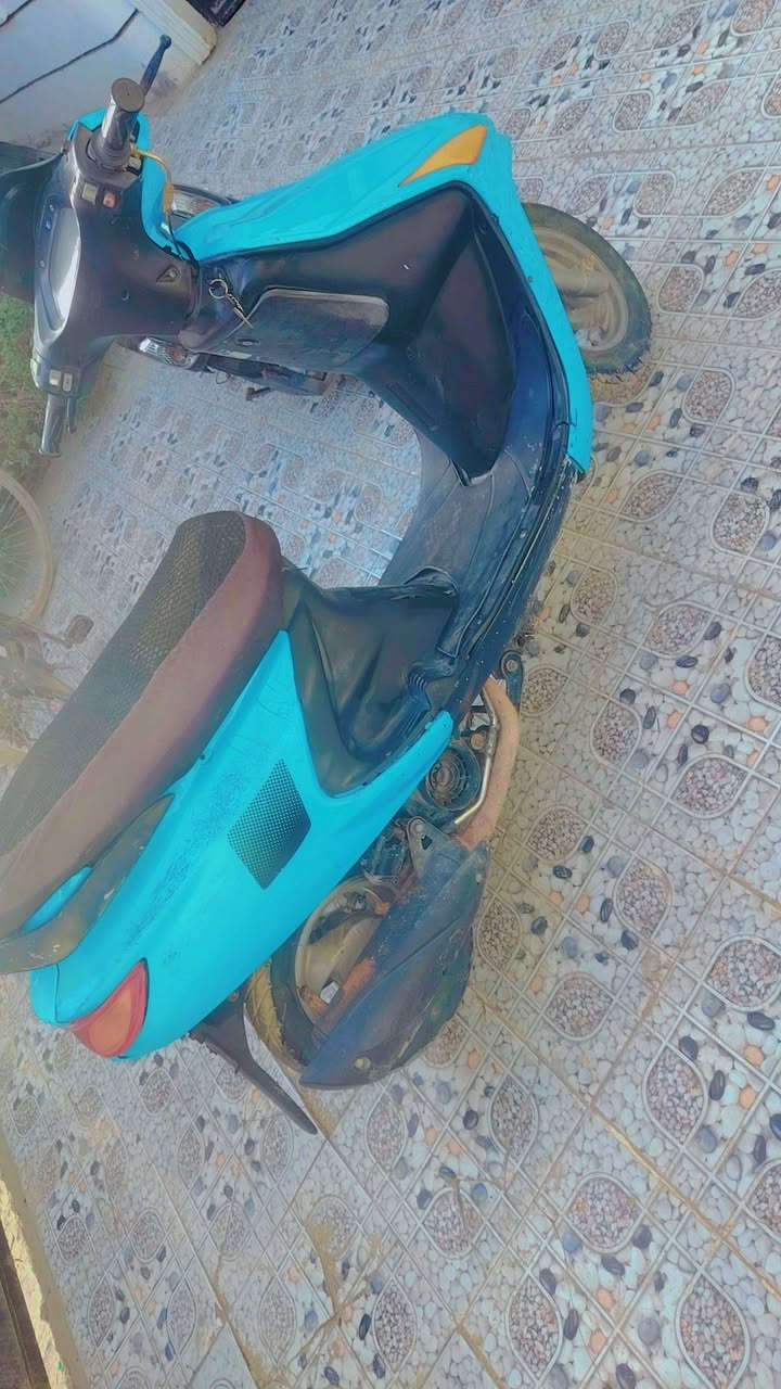 متاح درجة فراشه فحل خير من الله
بابل شارع 80
*********** تدلل
