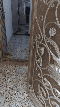 بيت معروض للبيع مساحتة ٦٥ متر سند ٢٥ بأسمنة يتحول باسم الشراي الكريعات شارع مصور اربد وشارع كامل الخدمات   الطابق الارضي مدخل صغير وصالة وحولي ومطبخ ومنور وخدمات 
الطابق الاول غرفتين نوم كبار وحولي والطابق الثاني غرفة كبيرة مأسسة فقط وبيتونة وسطح للأستفسار اكثر ع الخاص او الاتصال ***********
