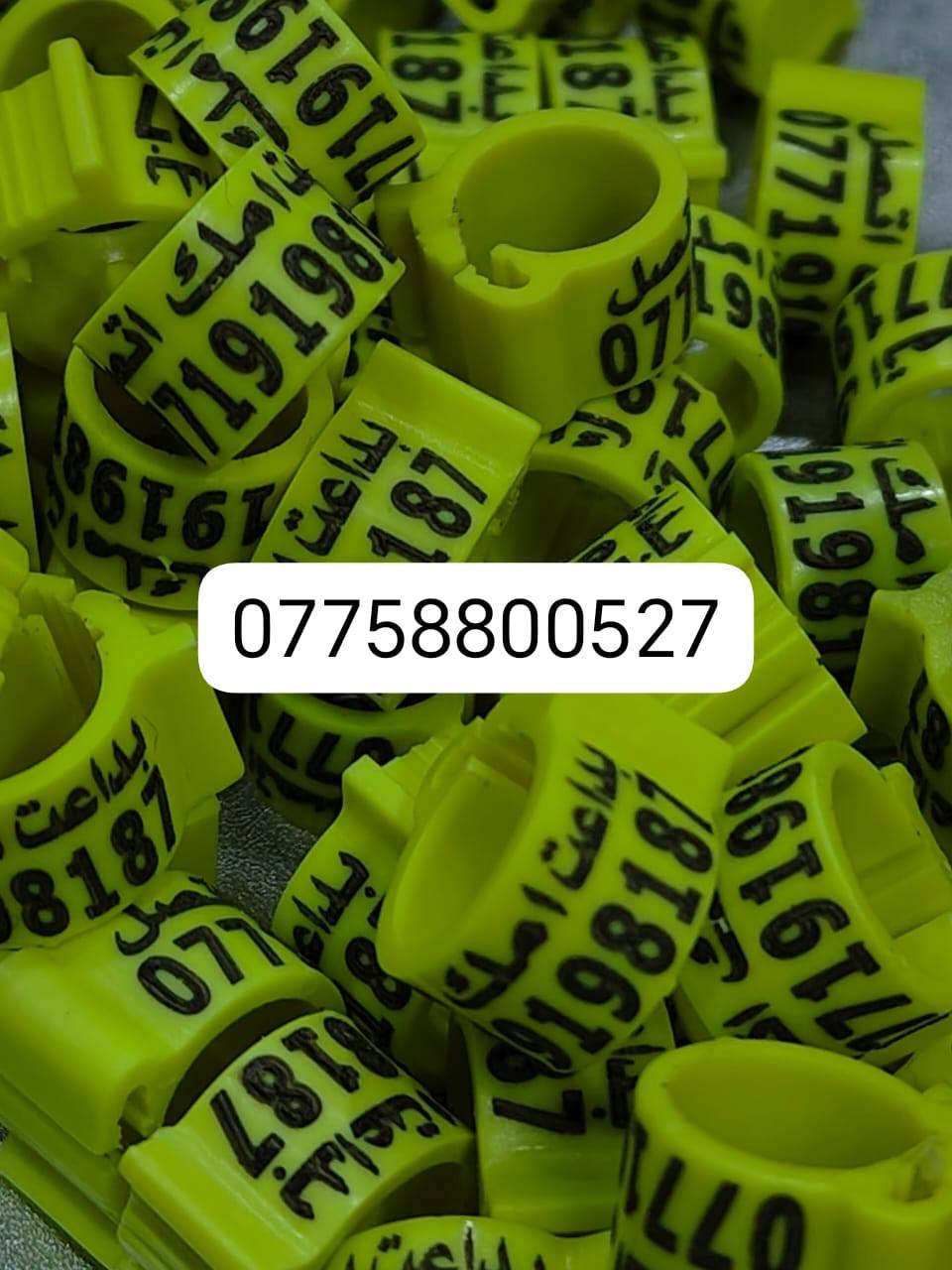 حجل طيرك وبسعار تنافسيه وشغل مضمون 👇❤️ حجول  وتوصيل لكل العراق والخبره بلعمل
من رخصت لمشرفين تريد حجل اصلي  ❤️ يوجد لدينا كل ماهو جديد عمل جميع  انواع حجول رابطه ستندر بنواعها حمام اللوت والزاجل والرافل والحمر وتور تيدي وطيور الزينه وباقي الطيور  بكافة انواعها  المغرد جاوه وبلابل  وفجانس وكناري وبادجي هاجرمو  وكوكتيل والدره وغندور وروز والحمام الملكي  ودجاج ومختلف النوعيات الالوان والموديلات حسب طلب الزبون الحجول والقياسيات موجوده بنواعها وتلبيس لطيور الكبار موجود حسب الطلب
الموثق والمفتوح وقراصات و المنيوم مفتوح الشغل درجة أولى حفر ليزر وحجول  والطيور بانواعها ملاحظه يوجد لدينا حجول زينه تراجي وحجل جرس خرخاشه واشرات وباقي الحجول بنواعها لكافه لطيور توجد خدمه توصيل لباب لبيت لجميع المحافظات العراق 🚕🚕 بسعر مناسب جدا للحجز مراسلة الصفحه او واتساب📱📞او الاتصال علئ الرقم او وتساب ملاحظه خبره بلعمل أكثر من 10 سنوات احذر التقليد 😍 لاتنسه لايك ومتابعه للحساب هدفنا تطوير الهوايه ولطيور لتعارف 😘 

***********
***********
