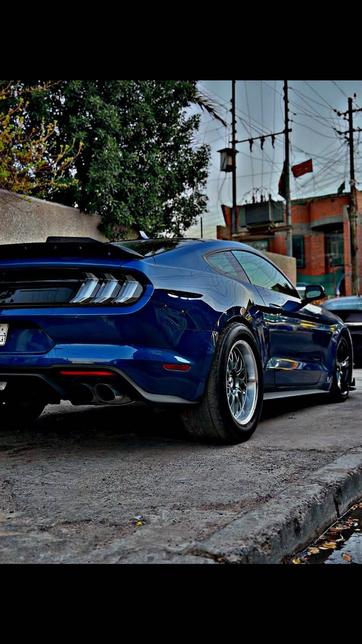 " السلام عليكم "
* سيارة موستنك GTمديل 22 مكينه 5.0
* ⁠السيارة ماشية 14 الف 
* ⁠مواصفات السيارة ( رادار جانبي + امامي + خلفي ) 
* ⁠كامرة خَلفية 
* ⁠شفتات ستيرن 
* ⁠تحكمات ستيرن 
* ⁠كشنات كهرباء ⚡️
*اكتاف گزوز 
*3 نغمات گزوز 
*بگلايت دخاني  
* ⁠گير 10 نمر 
* ⁠تايرات دراك 
* ⁠لويات ايباخ 
* ⁠الويل الخلفي ويلد اصلي جاي مہَטּ امريكا بيها 
* ⁠السيارة مهبطة مہَטּ الأمام 
* ⁠السيارة بدون ضربه وصبغ كلين
* ⁠بــس الدعامية مكسوره ومصلحه نفسها
* ⁠السيارة بيها تزويد بعد هواية بــس مانعرفه شنو لان السيارة جانت سابقاً بشركة تزويد في امريكا 
* ⁠مكان السياره ( بغداد - البنوك )
* ***********
