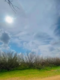 افوراي • 2006 • بدون اوراق