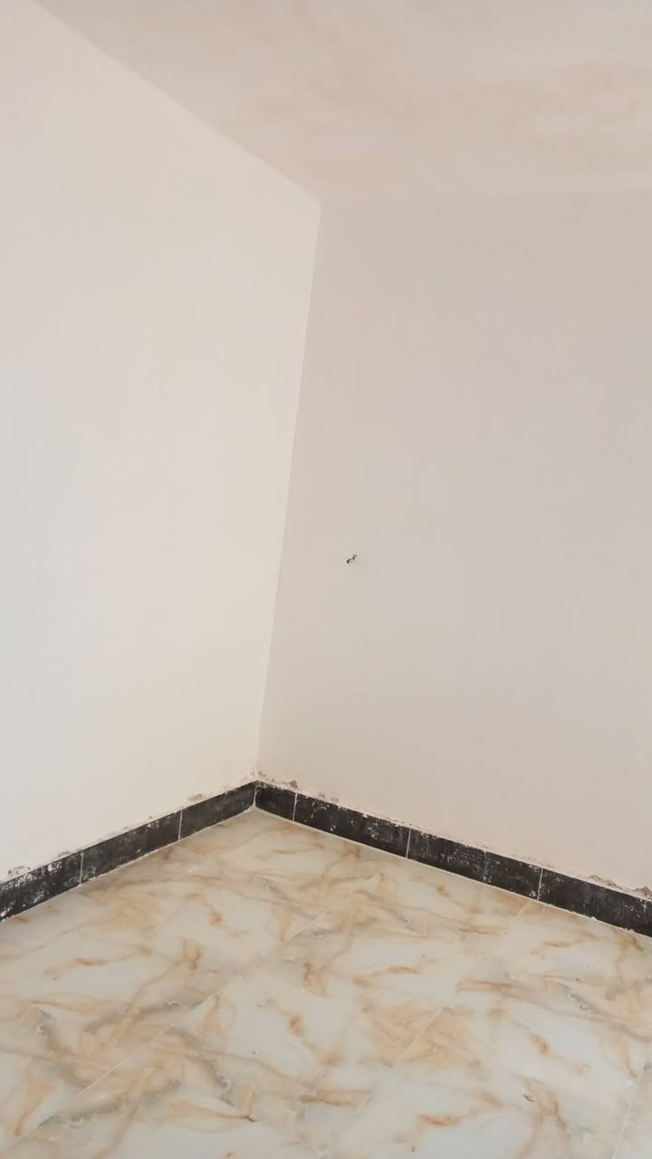 سلام عليكم اني خلفه لبخ متفرغ جص سمنت بورك جراره تكنيد رقمي ‏‪***********‬‏ بي واتساب
