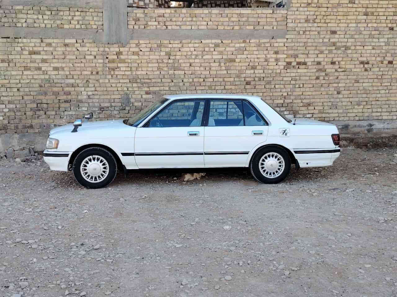 السلام عليكم ورحمة الله
مكفوله من الگصه ونقل الجثه والعيب الشرعي والاصوليات 
للبيع سوبر سدان مودي1990 رقم قادسيه  مكينه وگير 2500 حداديه تخم تاير كهربائيات العنوان ناصريه قضاء الجبايش السعر 55 وبيها مجال بسيط او مراوس
 ب ام كراند او اوبترا او جلي محور كوره 
للأتصال. ***********
