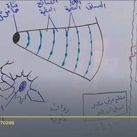 مراجعة أحياء • دورات مكثفة • أبو غرق حي السلام