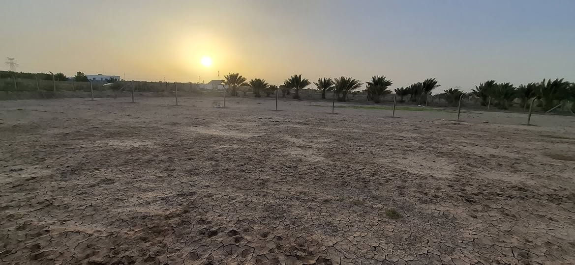 يالله
قطعه ارض 200م للبيع 
قطعه سند 25 
كافه الخدمات موجوده موقع مميز 
خلف جامعه بابل قريه السجاد العصريه 
ع شارع مباشر 
استفسار اتصل 
***********

