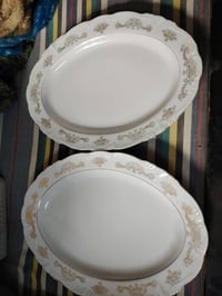 زوج ابلام • ياباني • اصلي