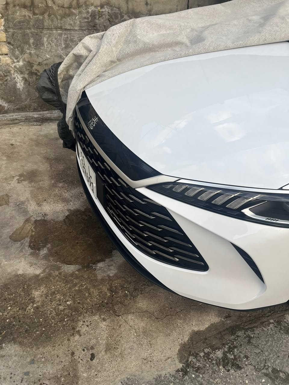 بي وادي جن بلاس مرقم بغداد باسمي موديل 25 زيررررررو  صفر ***********
