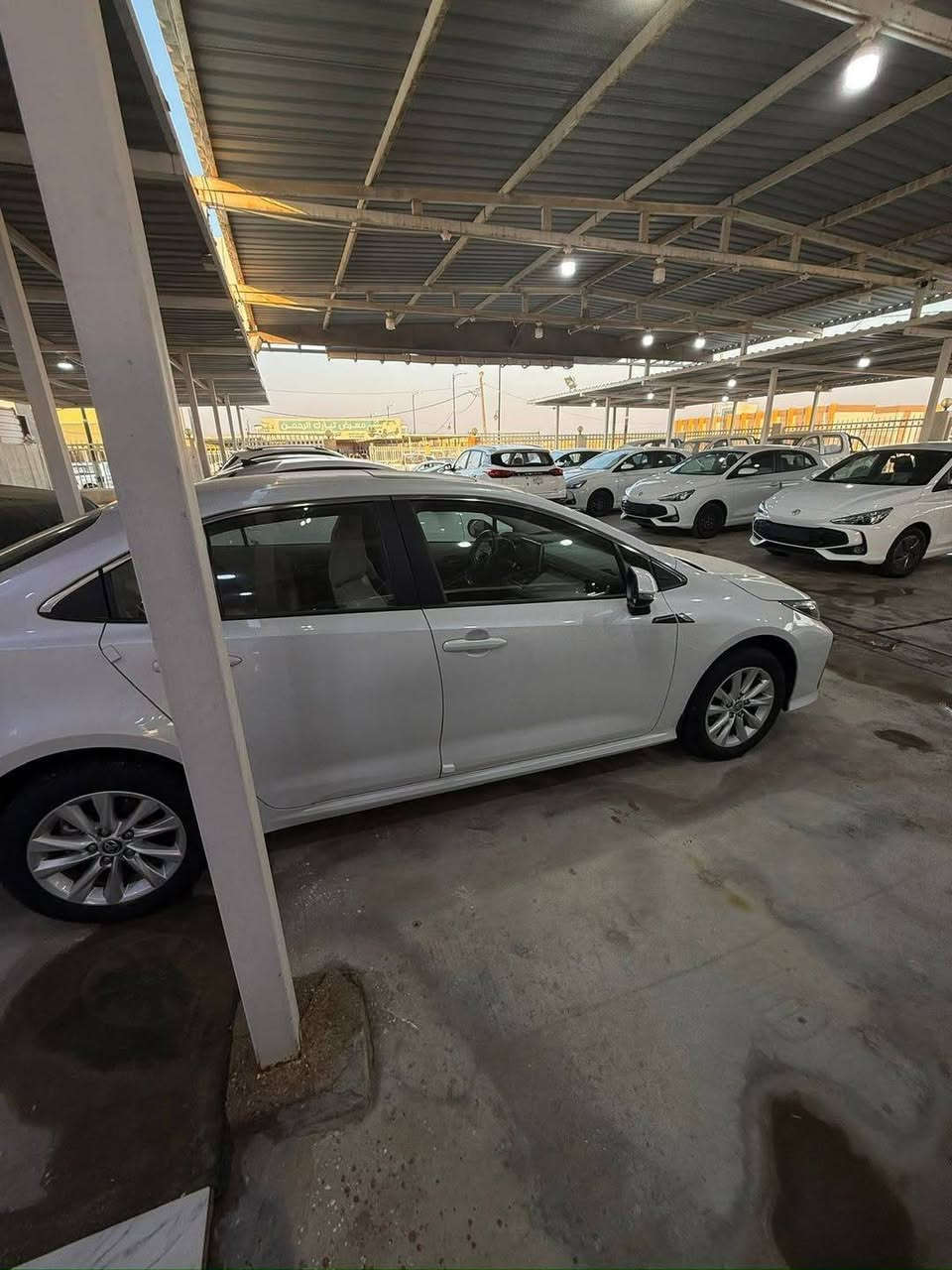 كورلا   24  ساز   ( خـليـجـي )
 ماشية   36  الف   حقيقي  كفاله   عامة
   السيارة   من الصبغ   من البارد  من  التبديل
   سيارة  سبيرها  منازل
محرك كير واير بشرط مامفتوح 
سيارة حيل نظيفة كلشي عل بلاد جديد 
سنوية هزة كلشي جديد مدفوع لـ
باسمي السنوية بشرط تحويل وغرامـة
سيارة مابيـها دينار مصرف كامل من كل نواحى
رقم صاحب سيارة ***********
