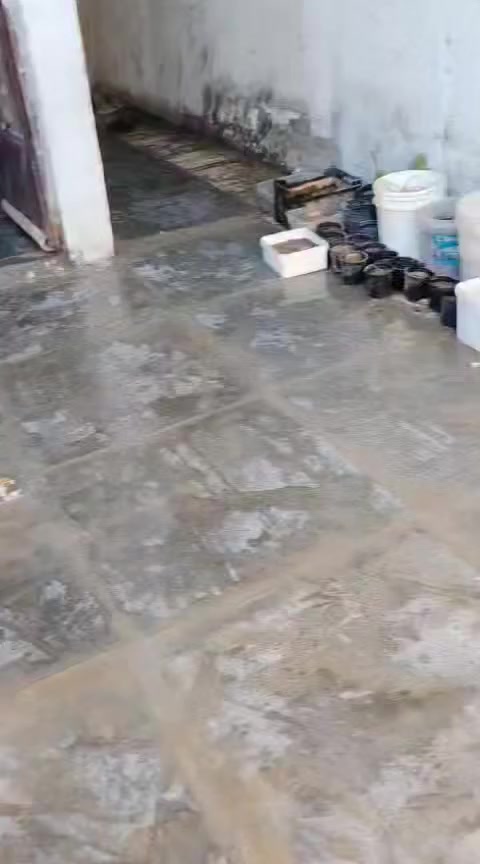 السلام عليكم بيت مكان البيت مشتل شارع المدارس قرب بطاقه تموينيه  مرقمه ومسجله بل مختار مساحه ١٠٠ او ١٢٥البيت فارغ  مستعجل سعر ٢٥بي مجال ***********
