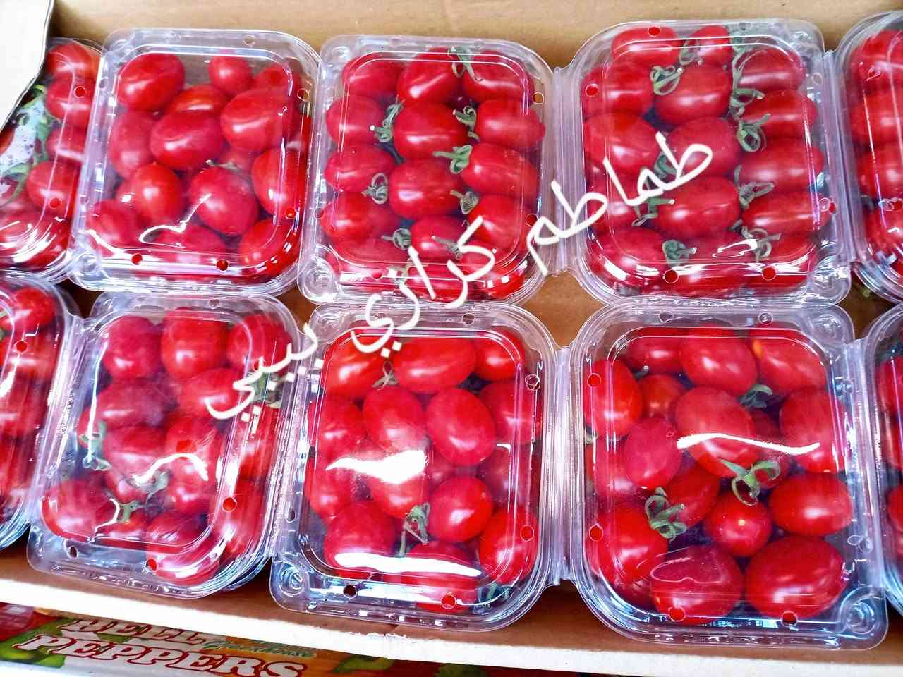 صلو على الحبيب قلبك يطيب

#اسعار #الفواكه 

خيرات اليوم الخميس 2026/7/2

يوجدلدينا خدمة توصيل كافت مناطق ابو غريب للطلب ولاستفسار الاتصال
 الفرع الرئيسي خرنابات شارع السچه 
***********///*********** وتساب

موز 1500🍌🍌
لالنكي مصري 2000
تفاح احمر تركي 1500🍎🍎                      
تفاح اصفر تركي 1500🍎🍎                         
تفاح اخضر 3000🍏🍏                                    
برتقال افريقي 1500🍊🍊     
رمان افريقي 5000
عرموط لبناني 3000
عرموط عراقي 1500
ليمون افريقي حجري 3000🍋🍋
اكريفوت 1500🍊🍊
ركي  عراقي 750🍉🍉
بطيخ عراقي 750
تمر كبس 1500🫐
ذرة جاهز تركي1500
جزر 1000🥕🥕🥕
زنجبيل 7000
أفوكادوقطعه 1500
عنب اسود 4000
عنب حلواني 4000
عنب 🍇عراقي 1500
منكه يمني قطعه 1500
انناس كبير 5000
تمر علبه 2500
تمر كيمياء 2500
مدكوكه 1500
سفرجل 4000
كيوي 2500
افطر علبه 2000
فروله علبه 3000
خوخ 🍑صوفي 2000
خوخ مسكي 2000
خوخ كعكي 2000
الو مستورد 1500
الو عراقي 1500
طماطه كرزيه 2000
تفاح عراقي 1000
برتقال بيبي 2000
مشمش لبناني 2000
جوز الهند 1500
كرز 🍒4000
