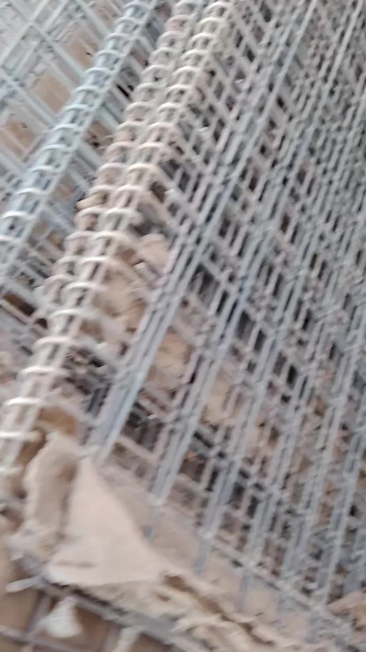 بي ارسي للبيع أمريكي حجم صغار وكبار العنوان الديوانيه


**إذا كنت صاحب هذا الإعلان وتريد حذفه لأي سبب، رجاءا أرسل رسالة إلى الدعم الفني**