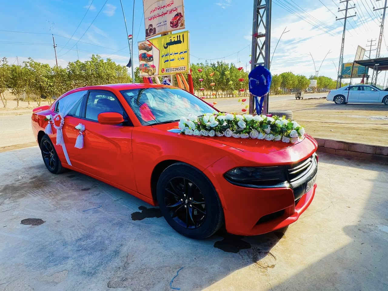 عرض لنهايت الشهر 
كل التزيين اب 20 فقط وطبلتين مجاناً
للحجز ***********
