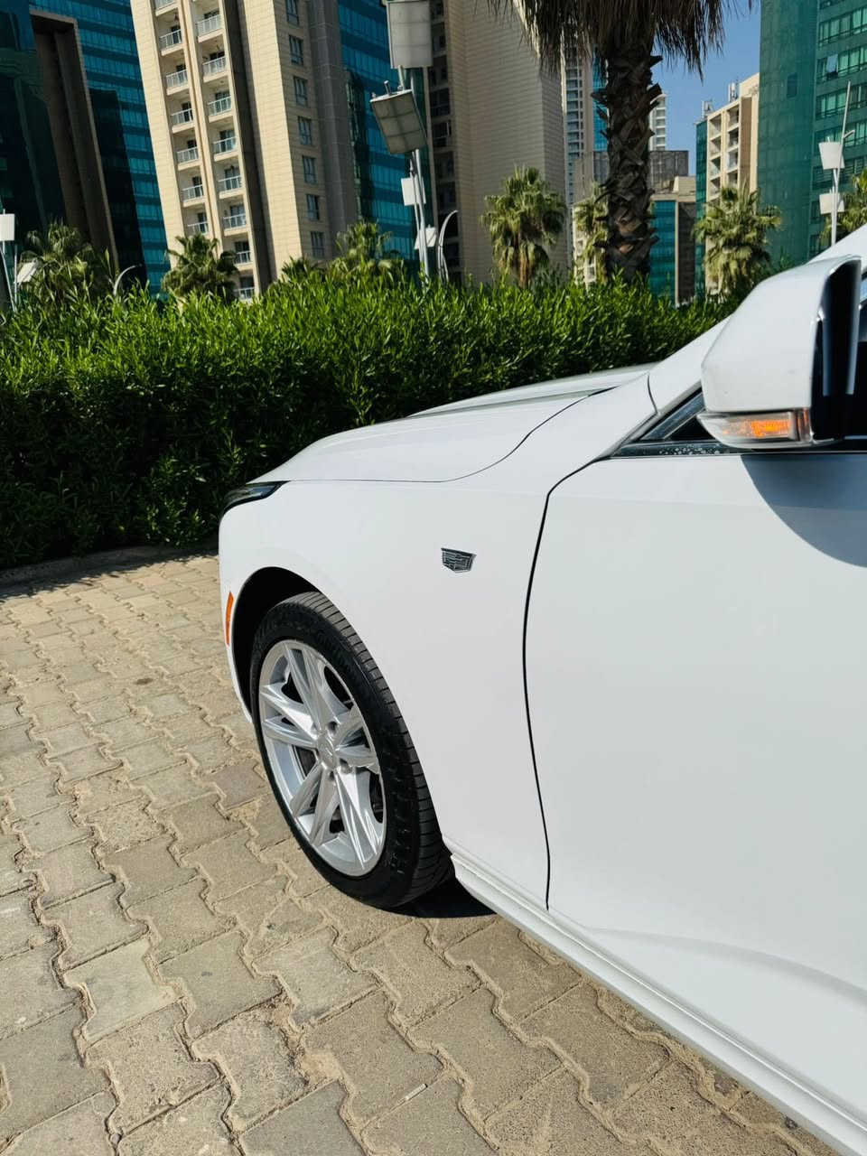 كاديلاك موديل 2023 CT4ليكزرى
كاديلاك موديل 2023 CT4ليكزرى

سعر 235$بيها مواصفات

فورويل AWD

سيارة قطعتين صبغ بجم كبس

نقطه عمياء 

اوتو هولد 

شاشه گار بلي 

كشن تدفئة

رادار امامي و جانبى

سايد بريگ بصمه 

اطفاء ذاتي للمحرك 

حساسات وكامره 

٤ وضعيات + ٣تراكشنات

اناره امامي خلفي led 

تبريد قطعتين

كشنات تدفئة تبريد 

شاحن لاسلكلي لل بصمه 

بعد بيها هوايه مواصفات

رقم شاصي 

1G6DE5RK6P0110925

مكان سياره أربيل 

للاستفسار 

***********
