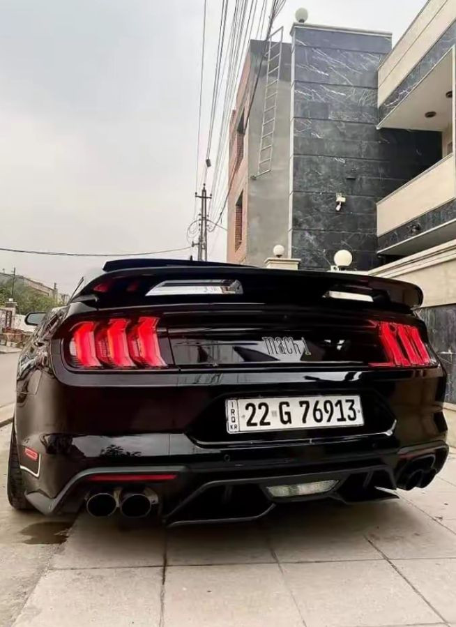 سلام عليكم 
للبيع موستنك GT 5000 2021 ماشية 10 الاف بدون ايرباك دعامية Mach1 خطة Mach1 .. دشبول 7 الوان .. رادار جانبي .. تحديد مسار .. كشنات جلد احمر .. كشنات كهرباء .. شاشة جبيرة .. بك لايت ابيض اوربي .. اوراكل .. ويل RTR اصلي بلادي .. عليها برمجة وتفريغ .. الحادث جاملغ خلفـي وخشم جاملغ الامامي مو كلة فقط بدون ايرباك السيارة جديده وكاملة مكملة مهبطه ومرتبة السعر57 وبيها مجـال بسيط
***********
